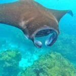 Best Of Bali 3 Days Bali Adventure Tour Package - Day 1: Ubud’s Cultural and Natural Highlights