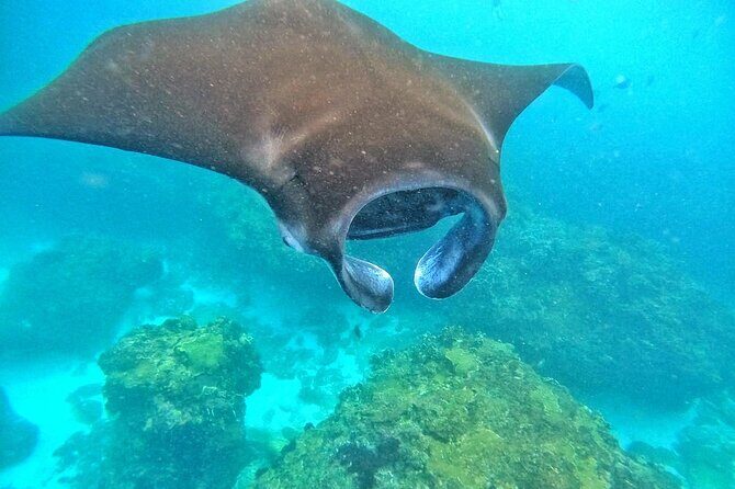 Best Of Bali 3 Days Bali Adventure Tour Package - Day 1: Ubud’s Cultural and Natural Highlights