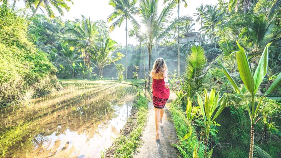Best of Bali: Private Customizable Day Tour - An In-Depth Look at the Tour Experience