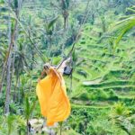 Best of Bali: Ubud All-inclusive Instagram highlights Tour - What Makes This Tour Stand Out