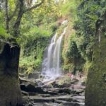 Best Of Bali Waterfall and Temple Tour - What’s Included and What’s Not
