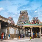 Best of Chennai: Guided Half-Day City Tour with Hotel Pickup - Who Will Love This Tour?