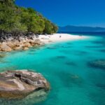 Best of Fitzroy Island Day Tour - The Highlights: Snorkeling and Marine Encounters
