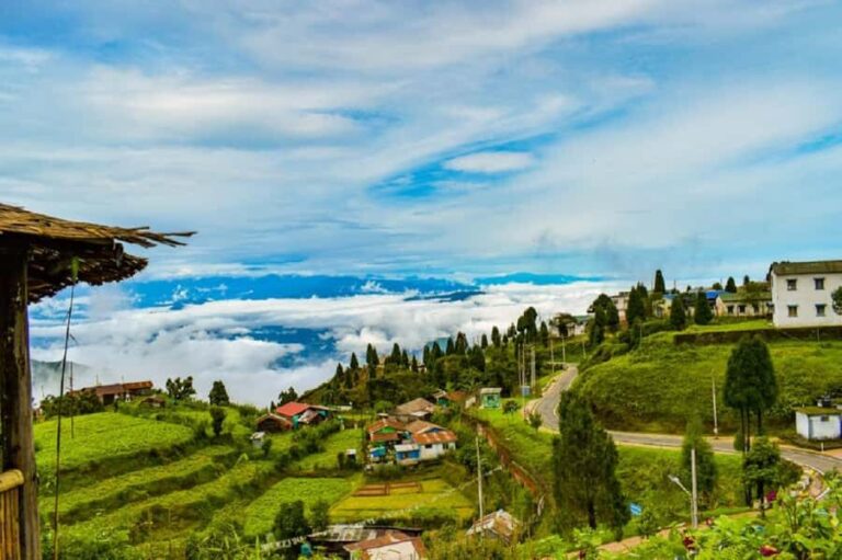 Best of Kurseong: Guided Half-Day Tour with Hotel Pickup - Practical Details and What to Expect