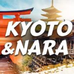 Best of Kyoto and Nara Highlights Day Tour from Osaka (7~9 spots) - Why This Tour Offers Great Value
