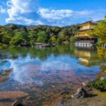 Best of Kyoto: the Bamboo Forest & Golden Temple E-Bike Tour - Experience Quality and Value