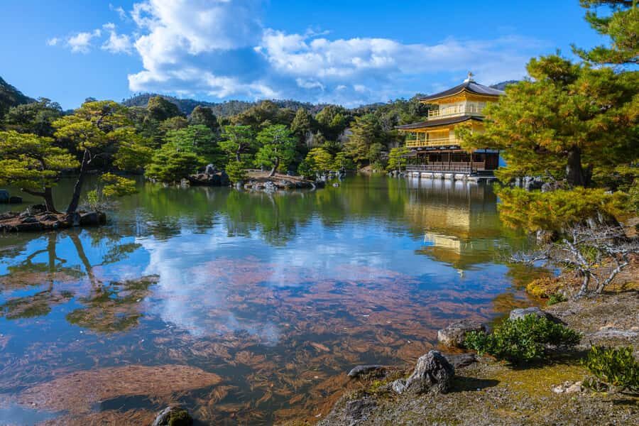 Best of Kyoto: the Bamboo Forest & Golden Temple E-Bike Tour - Experience Quality and Value