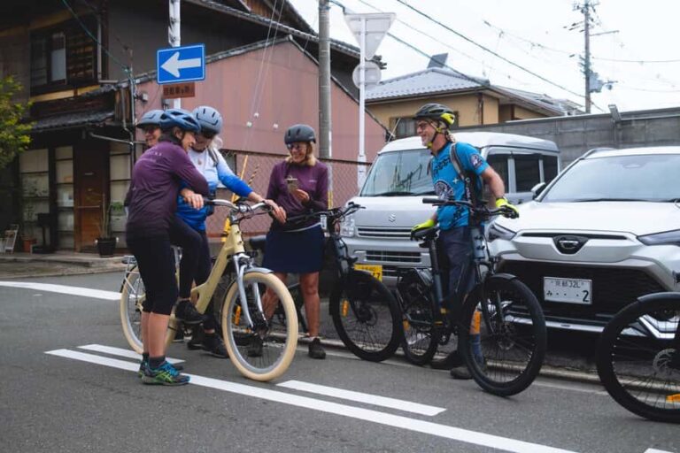 Best of Kyoto: the Bamboo Forest & Golden Temple E-Bike Tour - Practical Tips and Considerations