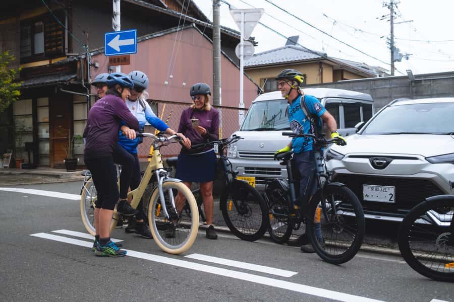 Best of Kyoto: the Bamboo Forest & Golden Temple E-Bike Tour - Practical Tips and Considerations