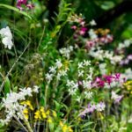 Best of Nadi Highlights - Transport, Timing, and Group Experience