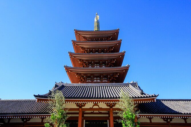 Best of Tokyo City Highlights Guided Tour - Who Should Consider This Tour?