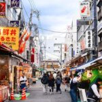 BEST OF TOKYO HIGHLIGHTS - WALKING TOUR PART 2 - Who Will Enjoy This Tour?