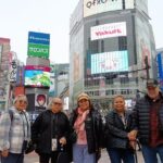 Best of Tokyo Private Tour for Yokohama Cruise Passengers - Who Will Love This Tour?