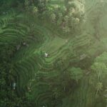 Best of Ubud Full Day Private Tour - Authentic Experiences and Genuine Value