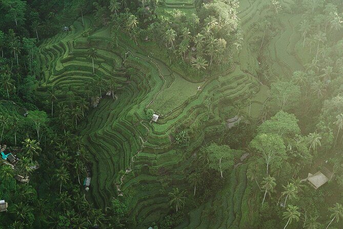 Best of Ubud Full Day Private Tour - Authentic Experiences and Genuine Value