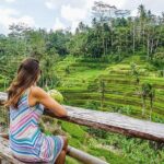 Best of Ubud Private Tour: Rice Terrace, Temple & Waterfall - Why This Tour Offers Great Value
