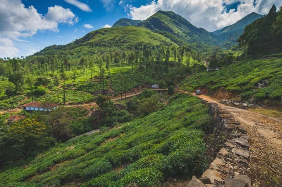Best of Wayanad: Guided Day Trip from Mysore in a Car - The Scenic Drive Through the Western Ghats