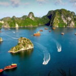 Best-Selling 2-Day Halong Bay & Ninh Binh Tour from Hanoi - Practical Aspects You Need to Know
