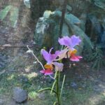 Best Sightseeing Tour - The Sum Up: Who Will Love This Tour?