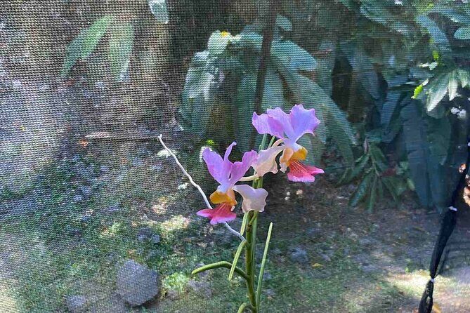 Best Sightseeing Tour - The Sum Up: Who Will Love This Tour?