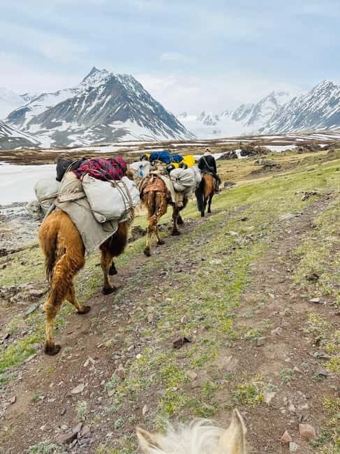 Best trekking tour in Mongolia - Who Is This Tour For?