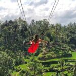 Best Ubud Tour Private Tour All Inclusive Package - What’s Included and What’s Not?