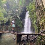 Best Watefalls, Monkey Forest, Temple and Rice terrace - What Makes This Tour Stand Out?