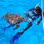 Beyond Krabi: Your Grand Escape to Similan's Marine Paradise - The Sum Up