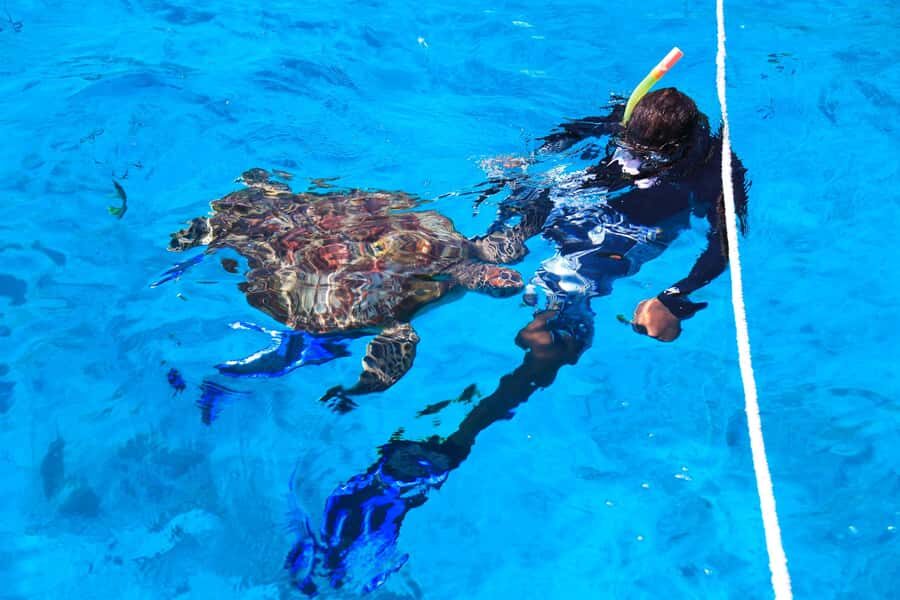 Beyond Krabi: Your Grand Escape to Similan's Marine Paradise - The Sum Up