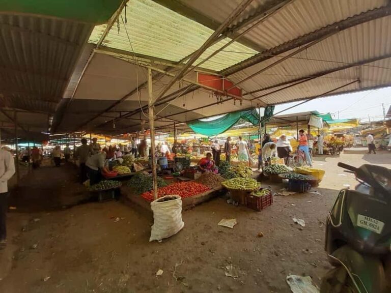 Bhusawal: Half Day Walking Tour with Market Visit - The Sum Up