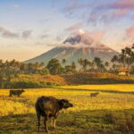Bicol Mayon to Lava Front (Mayon Popular Destination) - Value & Practical Tips