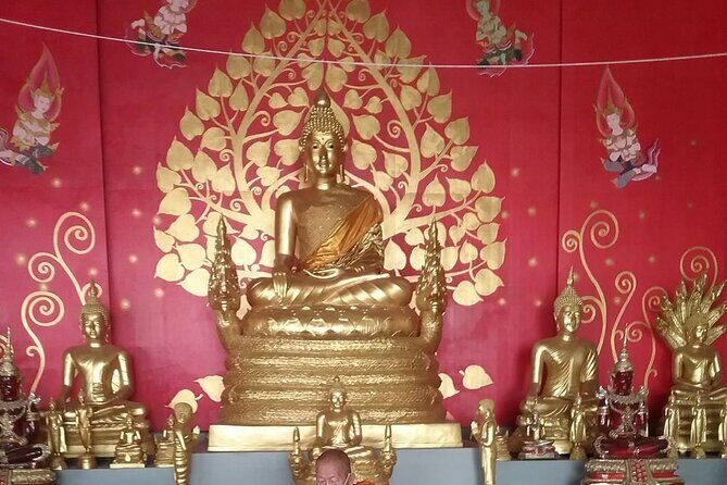 Big Buddha &Tiger Park & Monkey Hill ViewPoint & Phuket Old town - Who Should Opt for This Tour?