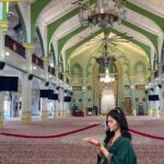 Big Bus Van Singapore City Tour 4 Hours ( Max 8 people) - A Deep Dive into the Tour Experience