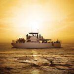 BIG Sunset Cruise - Dinner & Dolphin Watching in Guam - A Detailed Look at the Itinerary