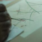 Bikaner: Botanical Miniature Painting Experience - Real Guest Insights