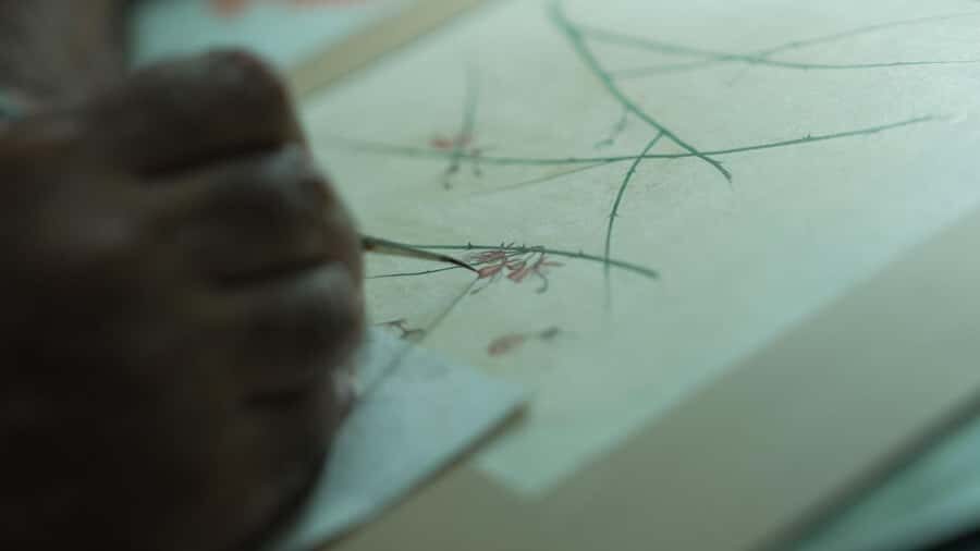 Bikaner: Botanical Miniature Painting Experience - Real Guest Insights