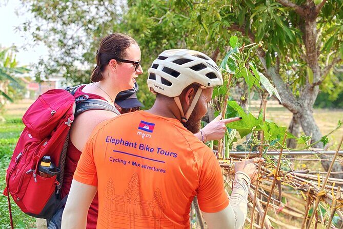 Bike of the Countryside in Siem Reap Half-day Morning - What Makes This Tour Special?