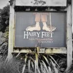 Bike Rental in Waitomo Caves - An In-Depth Look at the Itinerary