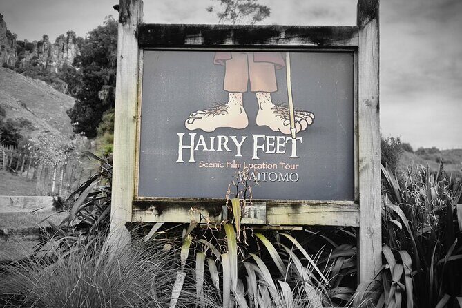 Bike Rental in Waitomo Caves - An In-Depth Look at the Itinerary