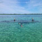 Bimini: 4-Stop Snorkeling Adventure - FAQ