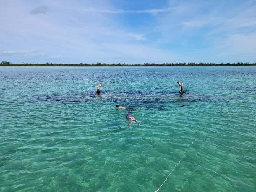 Bimini: 4-Stop Snorkeling Adventure - FAQ