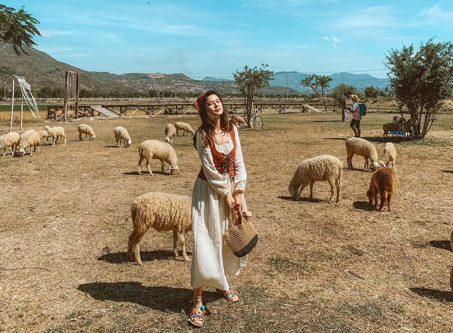 Binh Lap Tour Hang Rai - Sheep Field - Vinh Hy -Grape Garden - Practical Tips for the Tour  