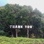 Bintan car rental - What to Expect from the Tour