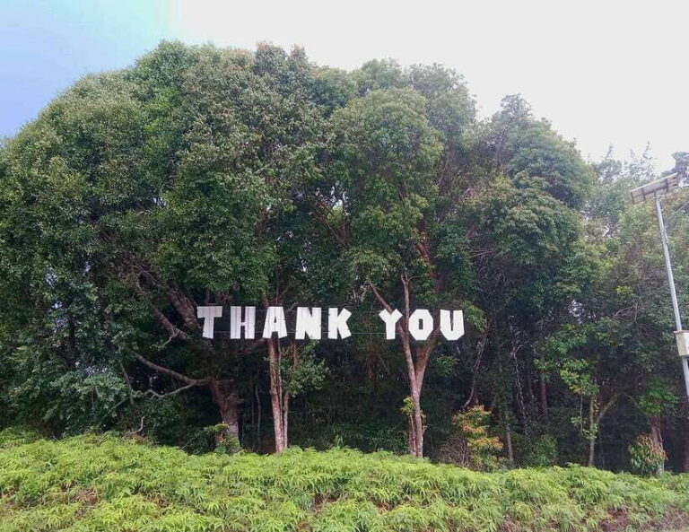 Bintan car rental - What to Expect from the Tour