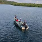 Bintan Tour Mangrove or Fireflies - Authentic Insights from Reviewers