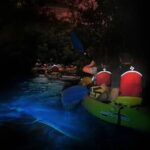 BioBay Sunset Splash-Kayaking Tour - The Food and Cooking Experience