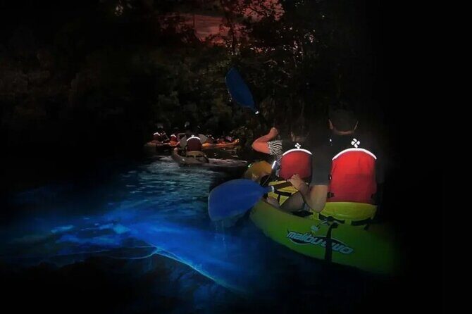 BioBay Sunset Splash-Kayaking Tour - The Food and Cooking Experience