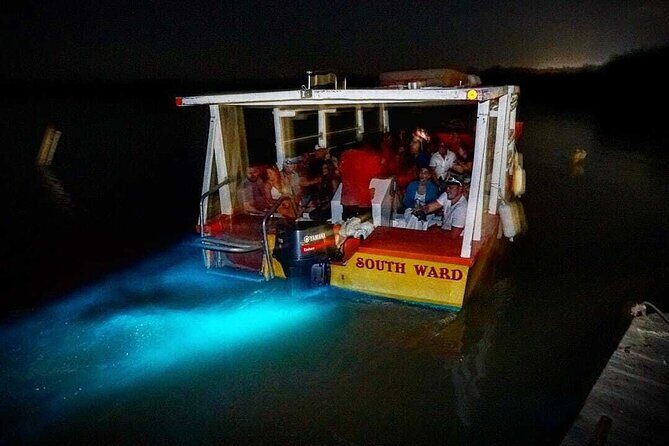 Bioluminescence Lagoon Tour from Montego Bay with Pick Up - Exploring the Itinerary: What to Expect