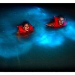 Bioluminescent Private Night Tours From Montego Bay - What to Expect from the Bioluminescent Private Night Tour