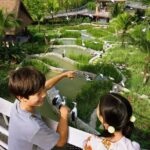 Bird Paradise Singapore Tickets - Authentic Guest Insights